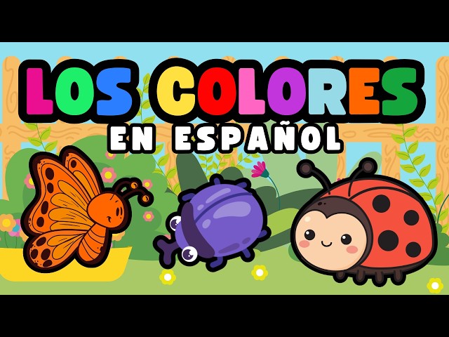 Vídeo relacionado con Todo Colours - Calcetines divertidos, multicolores, curiosos, con motivos alegres y llamativos, con mensajes en distintos idiomas, 39-42