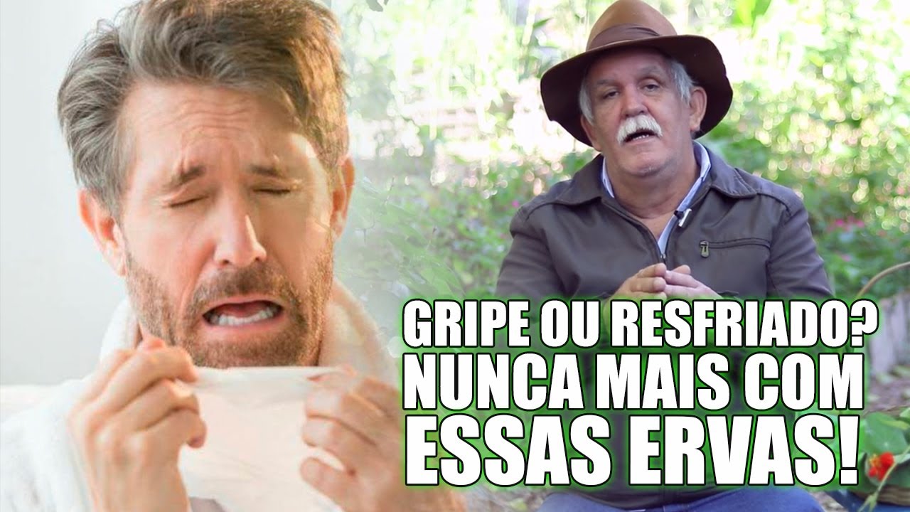 QUAIS SÃO AS MELHORES ERVAS PARA ACABAR COM GRIPES E RESFRIADOS? CONFIRA AQUI! PAULO DAS ERVAS