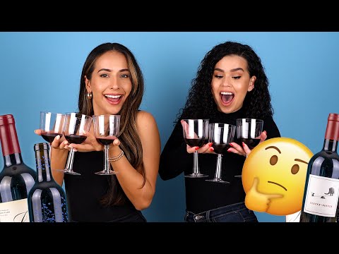 Cheap Vs Expensive Red Wine 🍷