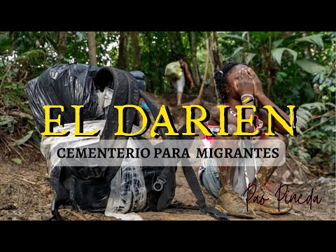 TRAMPA MORTAL: La SELVA del DARIÉN al descubierto/ HISTORIAS Reales de la SELVA. Pao Pineda.