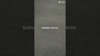 Download lagu Selingkuhmu tiada akhir mp3