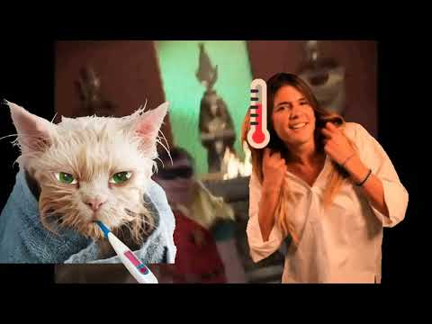 R3G3CID3 0F KING 54RG0N3/ HOLY H4B4N3R05 (APO ザ·犬 / OLYMPUS MONZ) FG P05TM0RT3M 🐌