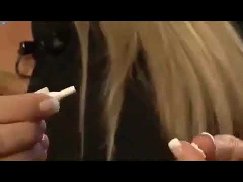 Instantly Ageless ผลิตภัณฑ์ใหม่ล่าสุด จากเจอเนสส์ (Jeunesse)  ติดต่อที่ 099-483-8365 Line: @029cifhx