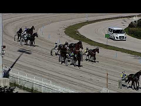 Aversa trotto 11 Febbraio 2023 - 1° Corsa