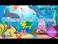 Learn About 20 Sea Animals Kids Education Sea Seaanimals