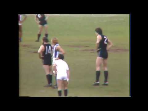 Watching Warren Jones from the Hawthorn Stand at Princes Park 1982 Round 21 Last Quarter