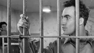 Frames from Down by Law (1986), directed by Jim Jarmusch