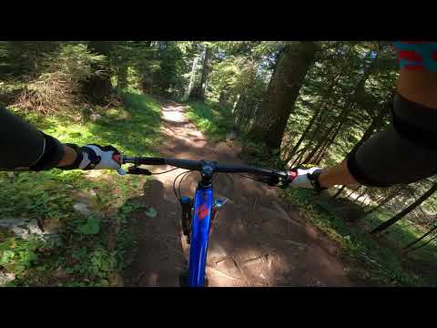 Paganella - Trail 806 "Giada Line"  ab Malga Zambana