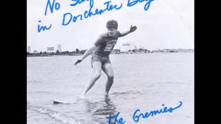 No Surfin in Dorchester Bay - The Gremies