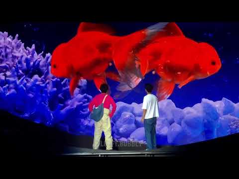 300324 | Full part 1/7 @Last Twilight New Dawn Live On Stage #lasttwilightseries #jimmysea