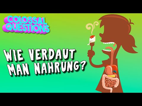 Wie verdaut man Nahrung? | GIGANTISCHE FRAGEN