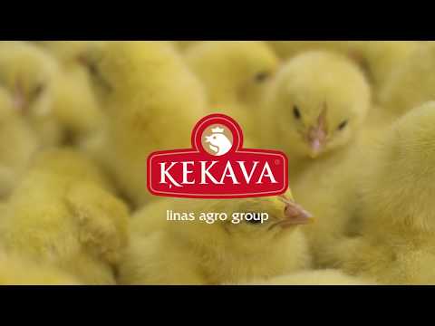 "Ķekava" poultry plant