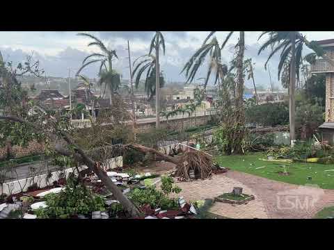 10-29-2025 Montego Bay, Jamaica - Melissa Aftermath - Trees Shredded - Hotel Severely Damaged
