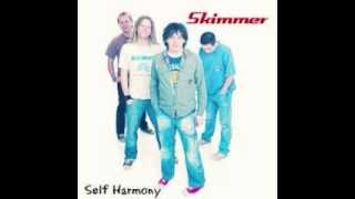 Skimmer  "Not Going To Plan"  No.453