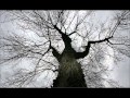 Tommy's Down Home.wmv