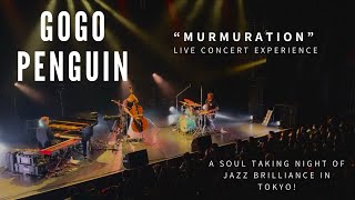 Gogo Penguin - Murmuration | Live Concert Masterpiece in Tokyo, Japan #gogopenguin #concerts