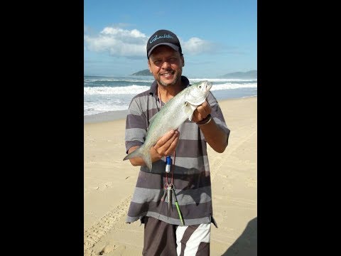 Pescaria Na Praia do Campeche Fpolis - SC (Anchovas)