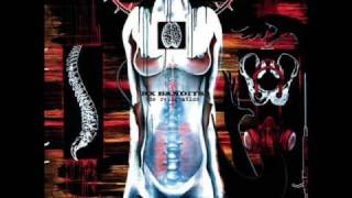 Taking Chase as the Serpent Slithers - RX Bandits