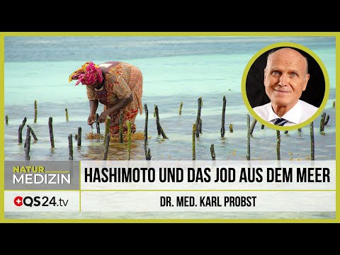 Hashimoto und das Jod aus dem Meer | Dr. med. Karl Probst | Naturmedizin | QS24 Gesundheitsfernsehen