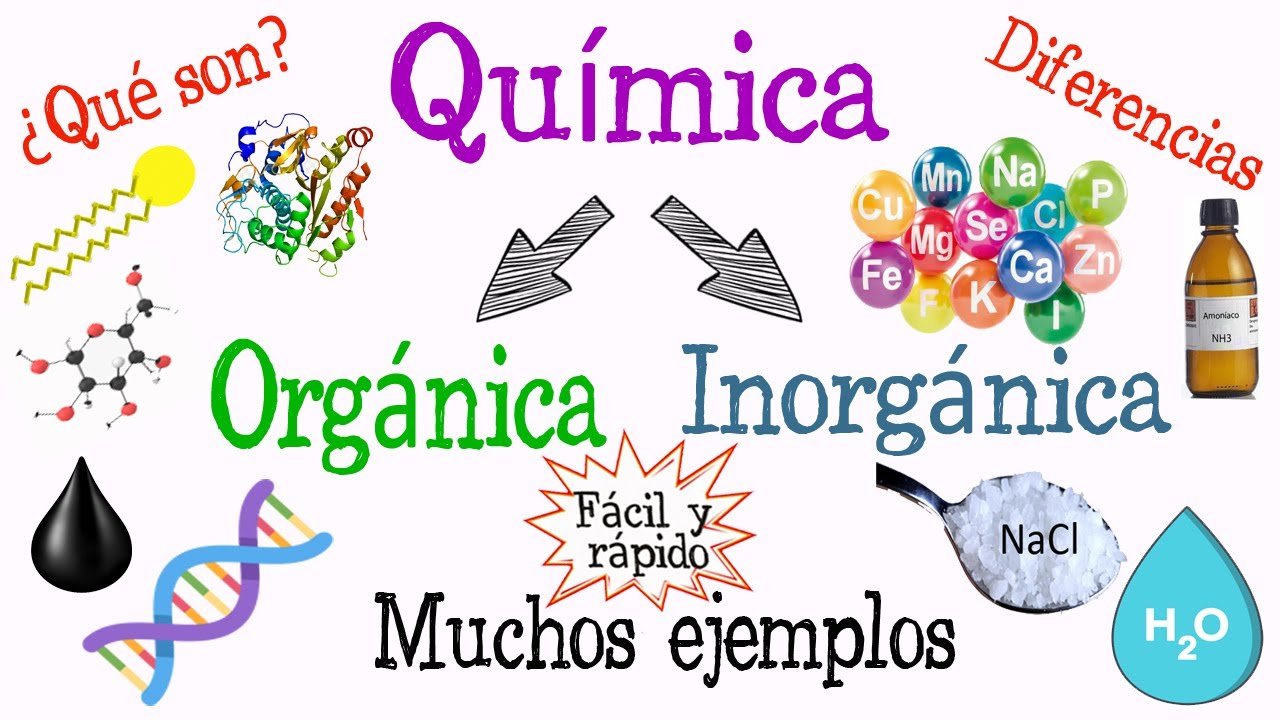 💥¿Qué es Química Orgánica y Química Inorgánica?💧 [Fácil y Rápido] | QUÍMICA |