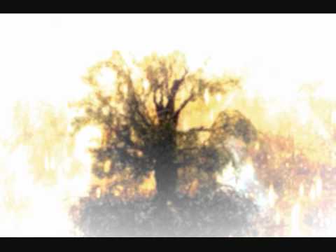 Lefthand Design  - Veritas