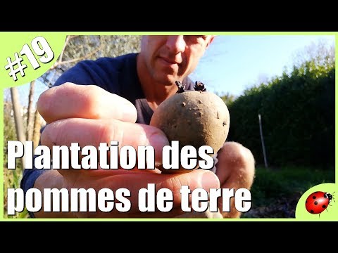 download lagu mp3 mp4 Pomme De Terre Hebdo, download lagu Pomme De Terre Hebdo gratis, unduh video klip Pomme De Terre Hebdo