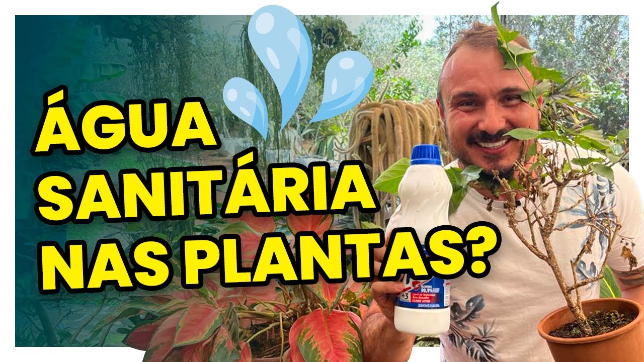 ÁGUA SANITÁRIA nas PLANTAS mata COCHONILHA, ÁCARO e outras pragas?
