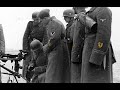 27th SS-Freiwilligen-Grenadier-Division Langemarck (flemish volunteers,ww2 edit)