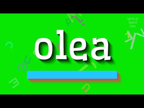 How to say "olea"! (High Quality Voices)