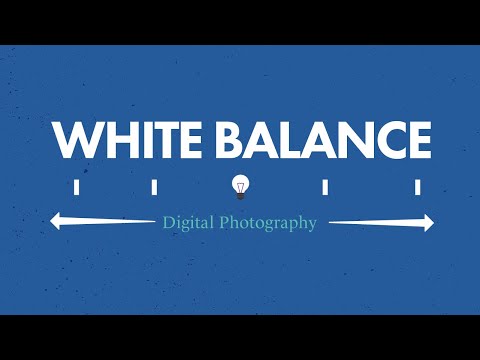 White Balance