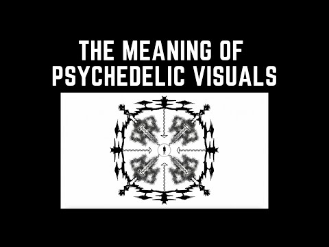 Psychedelic Map Theory: An Evolutionary Explanation for Psychedelic Visions