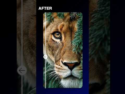 How to Enhance Video Quality to 4K 🤩