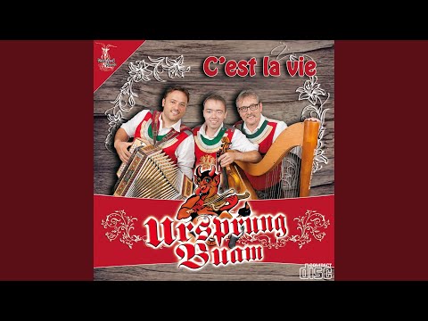 Musikanten spielts an Landler