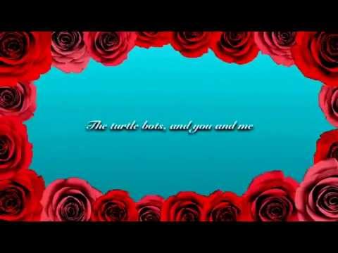 Space unicorn holiday lyrics