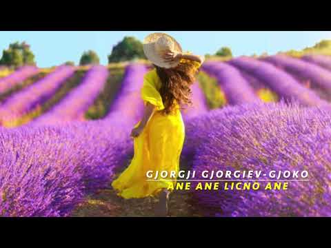 Gjorgji Gjorgiev Gjoko     “ANE ANE LICNO ANE”             (Official Audio 2021)