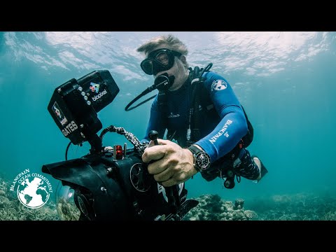 Blancpain and Biopixel: preserving the heart of the ocean