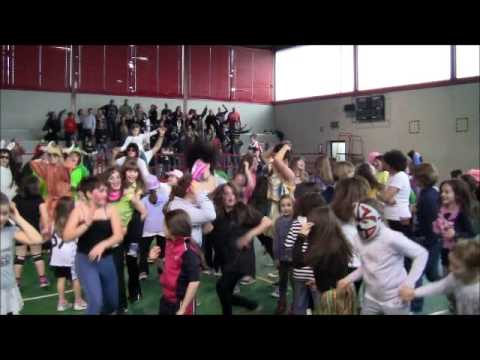 Agorà Volley Lonate Ceppino - Harlem Shake