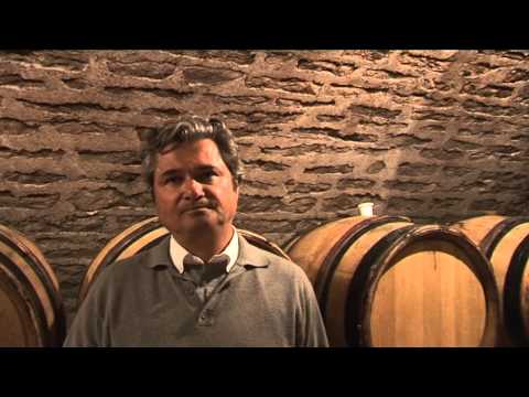 Rencontre avec Claude Changarnier du Domaine Changarnier