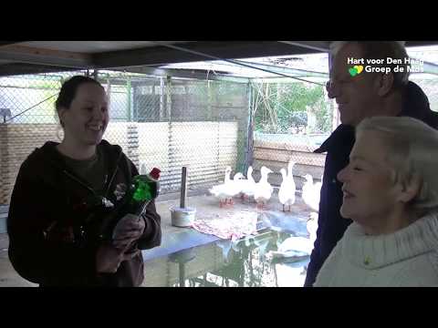 Hart voor Den Haag/Groep de Mos - Vogelopvang de Wulp