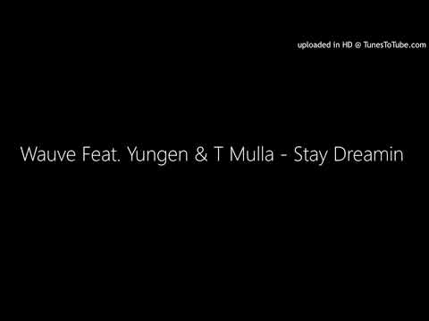 Wauve Feat. Yungen & T Mulla - Stay Dreamin