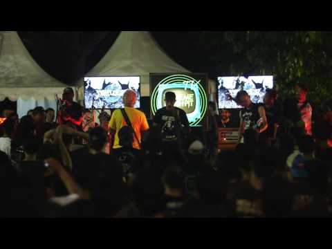 Extreme Moshpit Stage at Hammersonic 2016 -  TURTLES JR