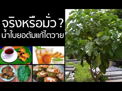 เพื่อเพิ่มความแข็งแรง ปากกา Excite ผู้หญิง