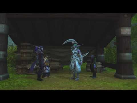 Shandris Plumaluna y Tyrande Susurravientos en Ventormenta [WoW]