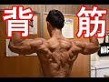 9/6背中トレ