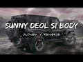 Sunny Deol Si Body Re  ( Slowed & Reverb ) | Raju Punjabi || Choudhar Jaat Ki