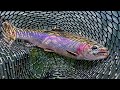 Video Thumbnail for These Tiny Micro Spoons Catch Anything! How To Cast Efficiently