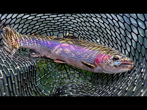 These Tiny Micro Spoons Catch Anything! How To Cast Efficiently