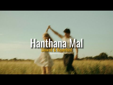 Hanthane mal ( හන්තානේ මල් ) x Zara Zara - ( Slowed + Reverb )