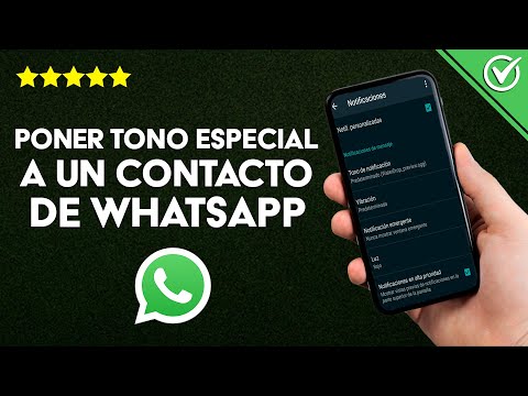 Cómo configurar un tono de alerta personalizado para un contacto específico de WhatsApp