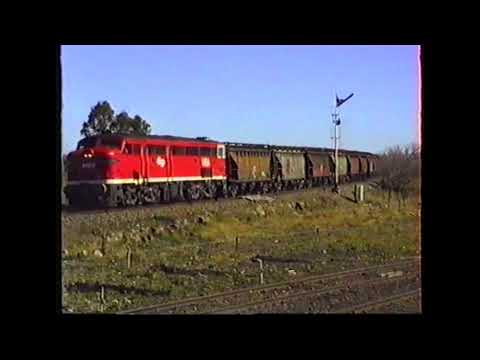 SRF206: 4464 @ DEMONDRILLE (SRF QUICKIE)